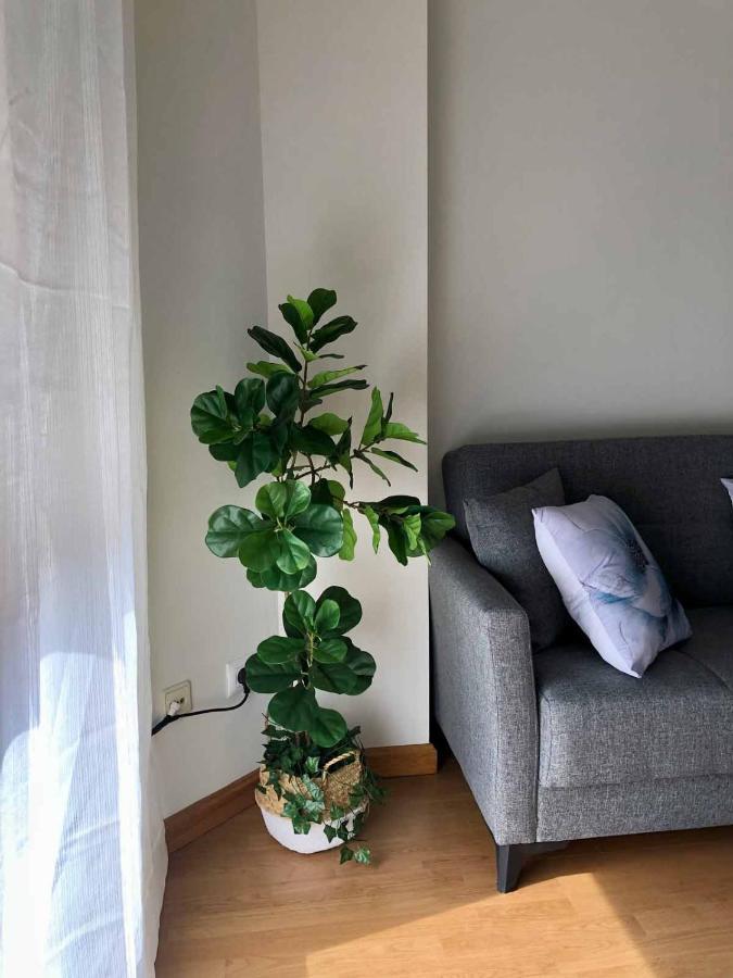 Apartamentos Schultz ヒホン エクステリア 写真
